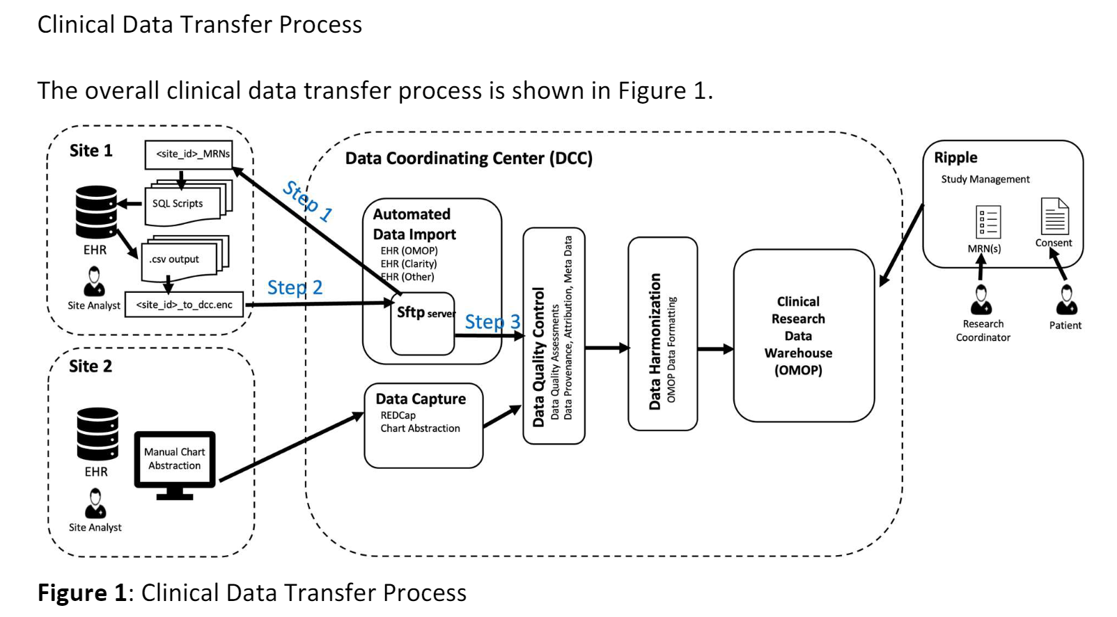Pipeline Overview