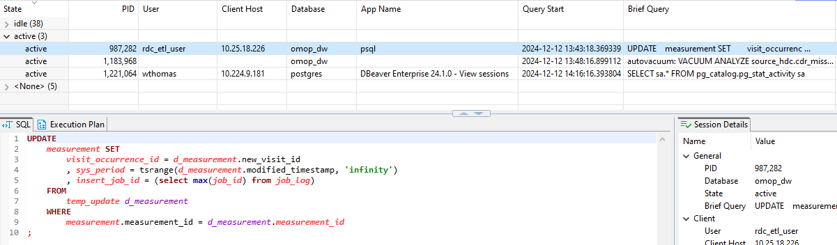image of postgres process from dbeaver